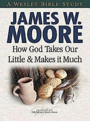 cover image of How God Takes Our Little & Makes It Much